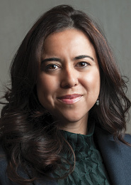 Lana Zaki Nusseibeh, United Arab Emirates to the United Nations
